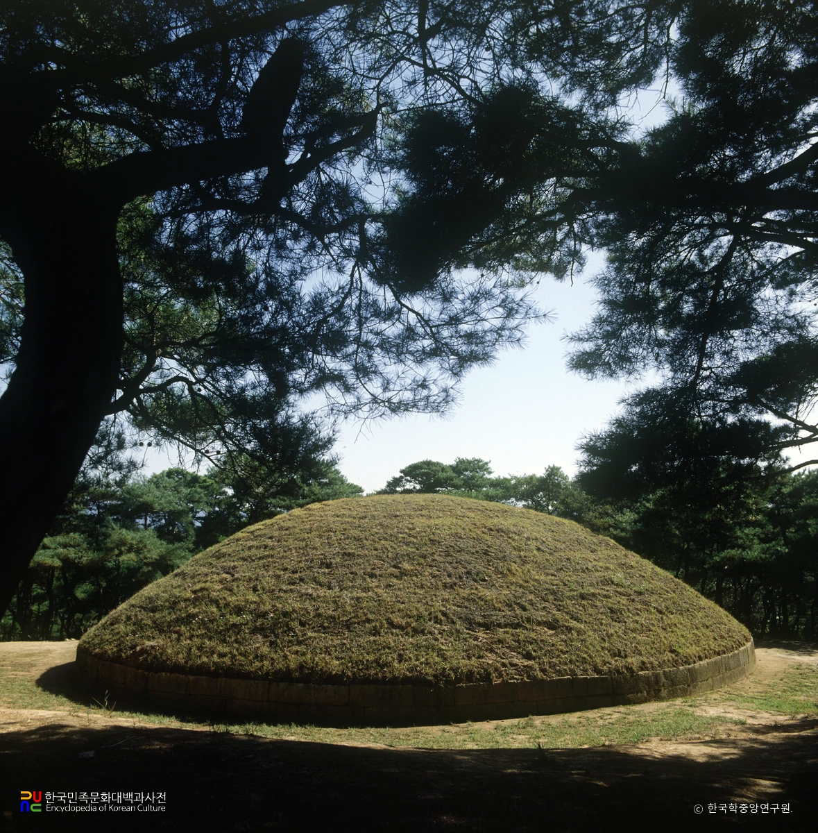 경주 신라 정강왕릉 후면