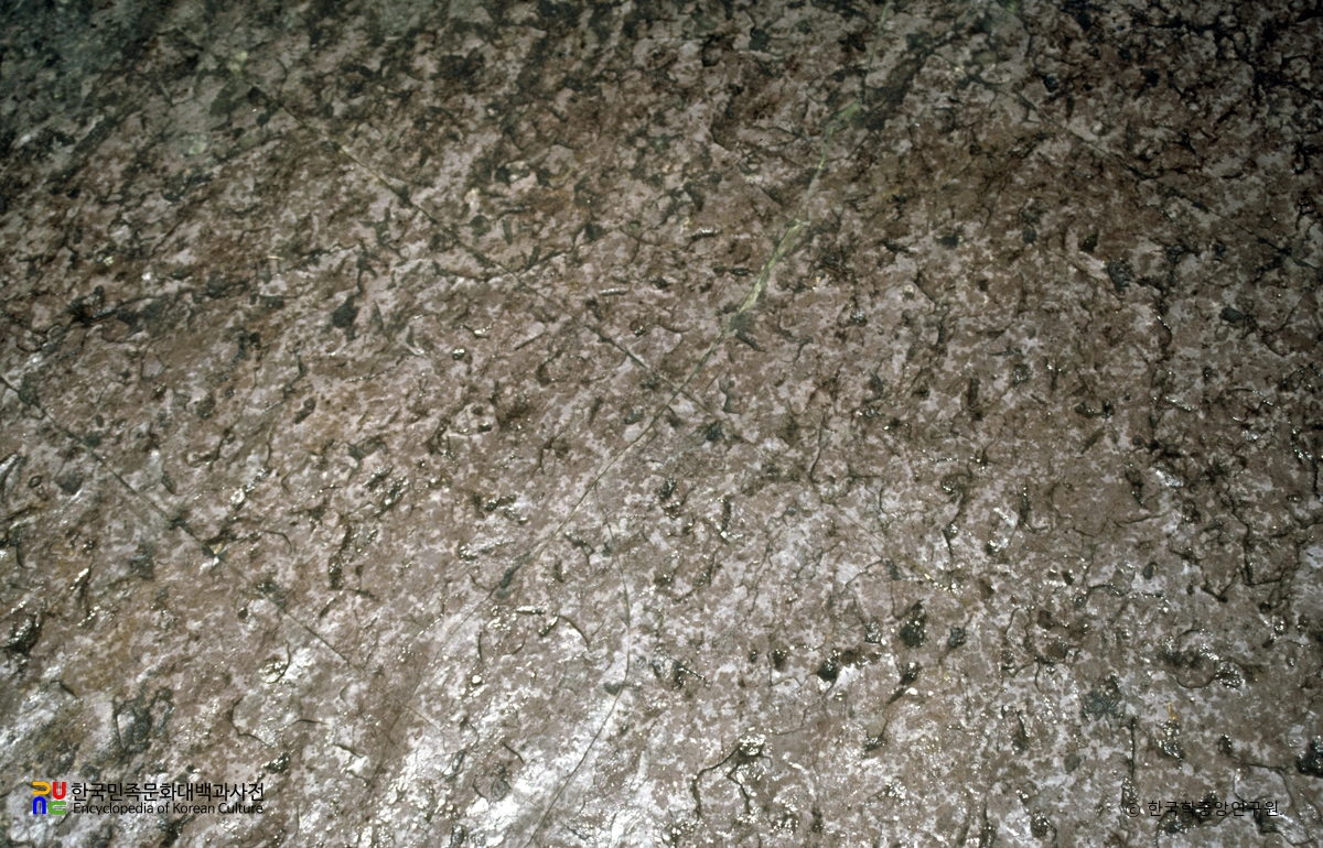 함안 용산리 함안층 새발자국화석 산지