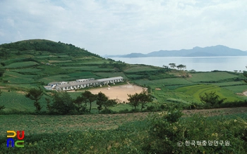 조도초등학교 대마분교장