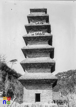 안동 법흥사지 칠층전탑 전경