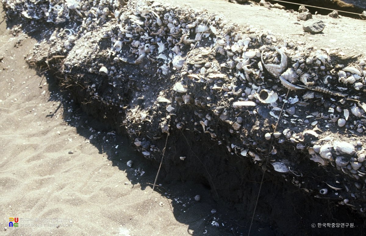 제주 상모리패총