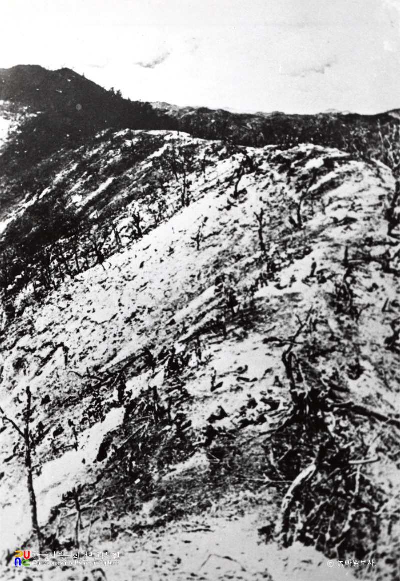 피의 능선 전투