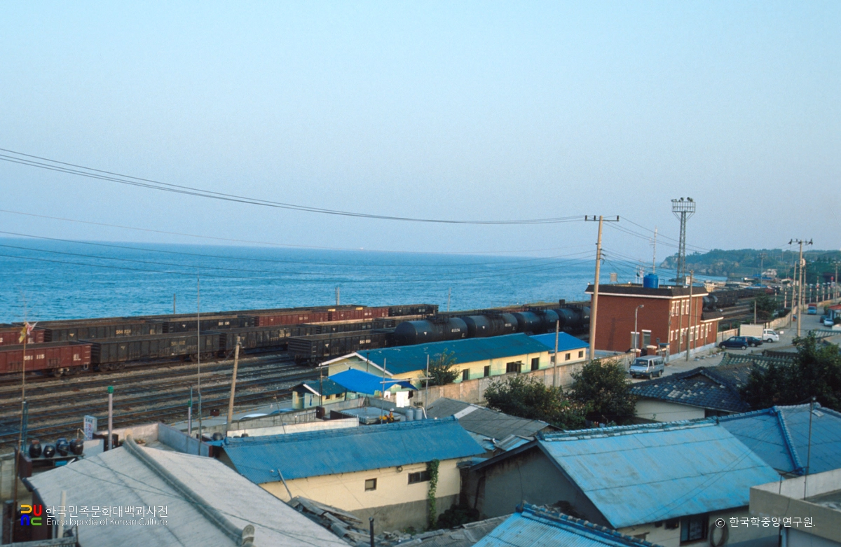 묵호항선 묵호역