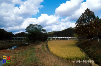 관개 수로