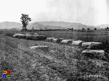 경주 황룡사지 중 금당지 초석