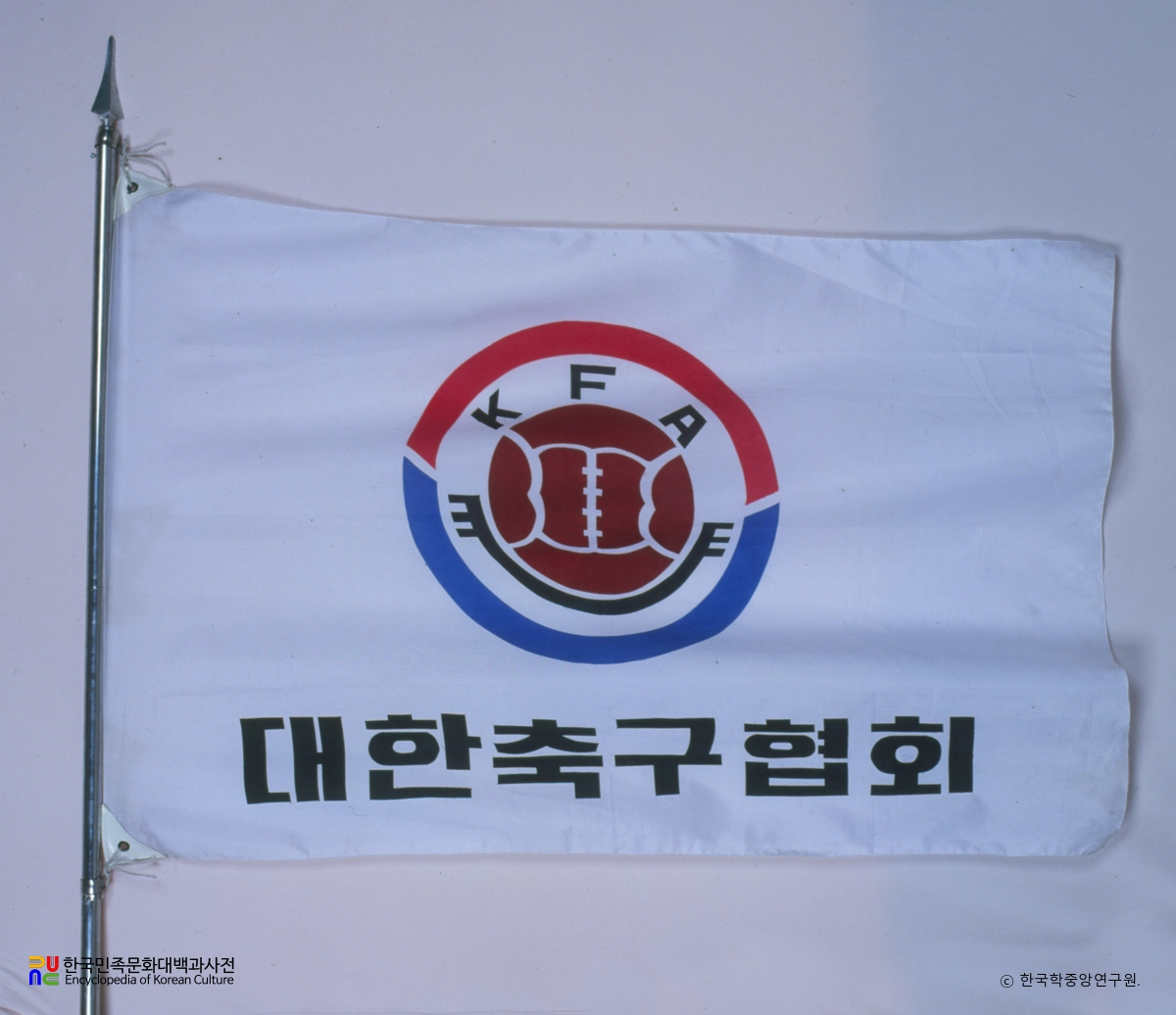 대한축구협회 기