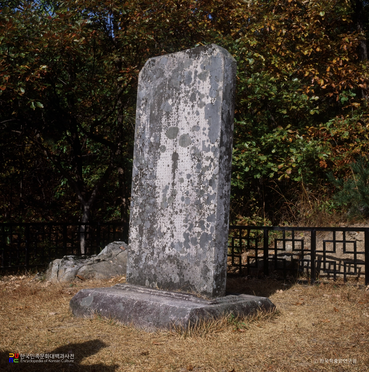 충주 청룡사지 보각국사탑비