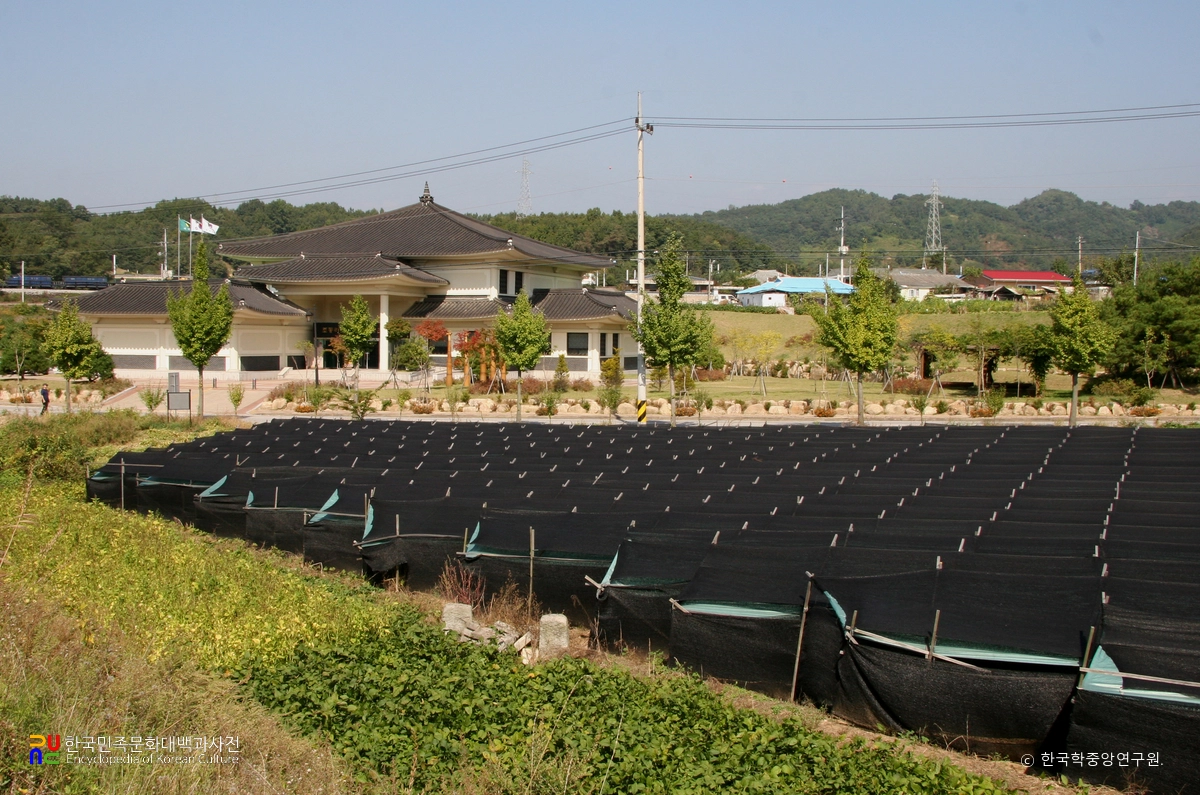 충주 조동리 선사유적