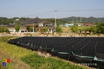 충주 조동리 선사유적