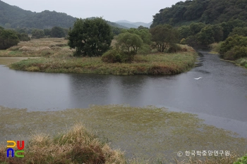 창녕 우포늪 천연보호구역