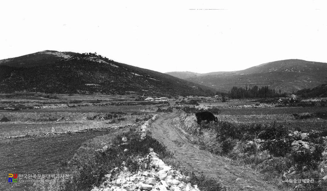 평안남도 대동군 대성산성 서남면 원경, 전경
