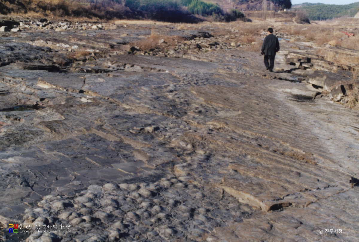 진주 유수리 백악기 화석산지