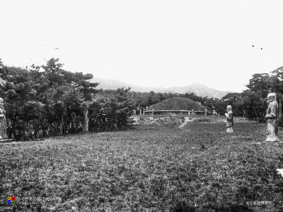 경주 신라 흥덕왕릉 전경