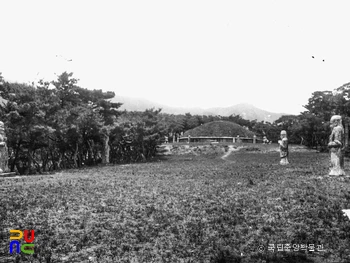 피망 슬롯 신라 흥덕왕릉 전경