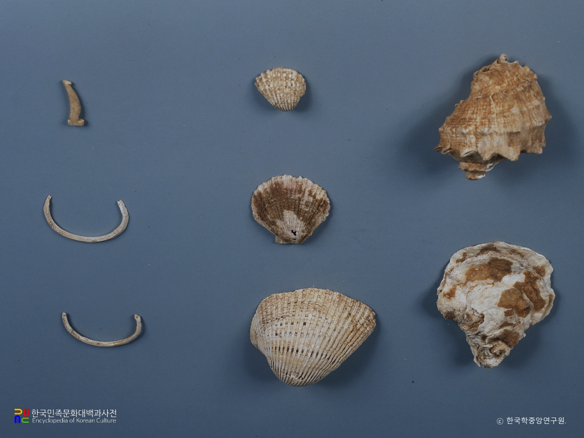 사천 구평리 패총