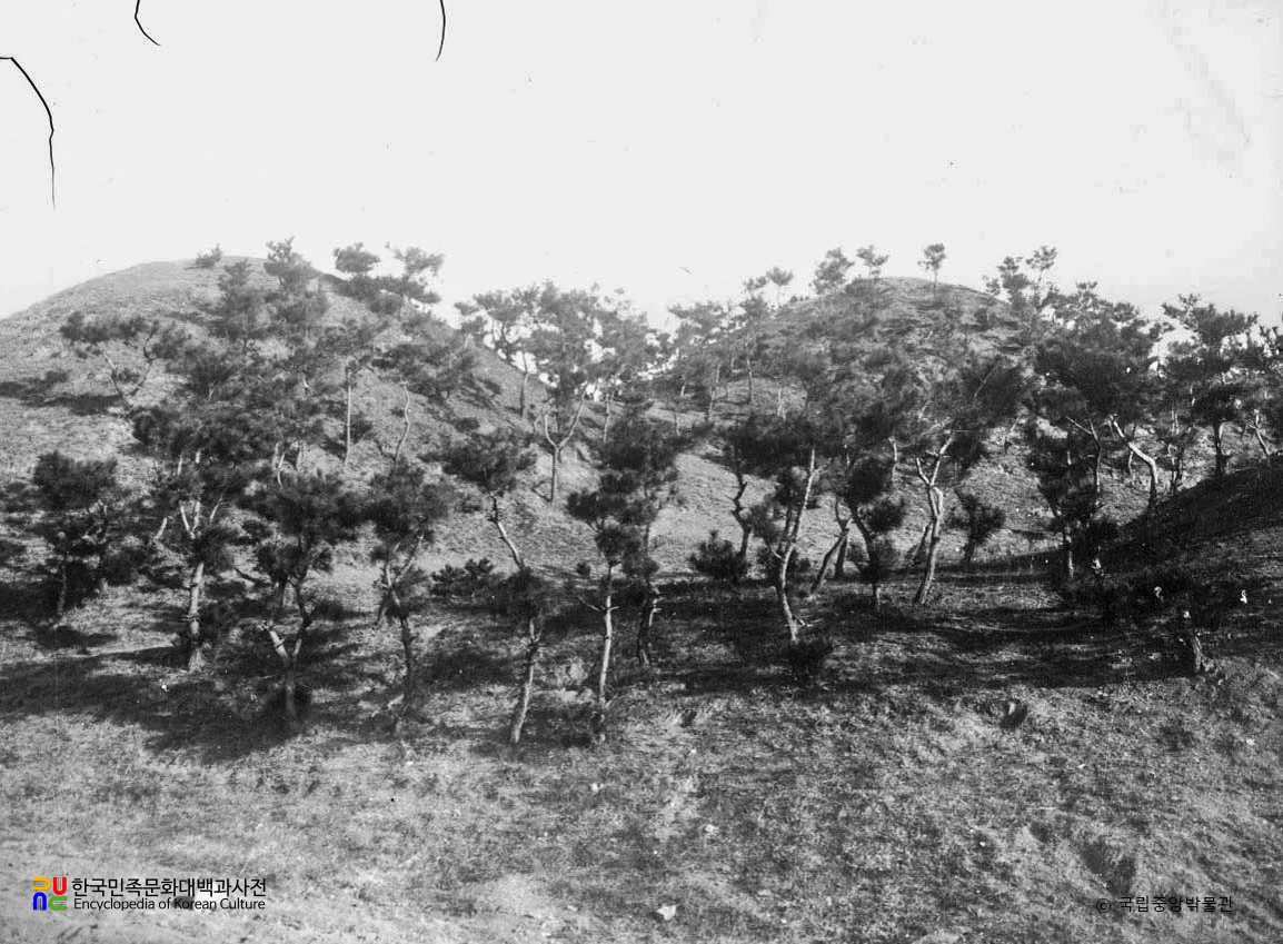 대구 불로동 고분군 제1호분 전경