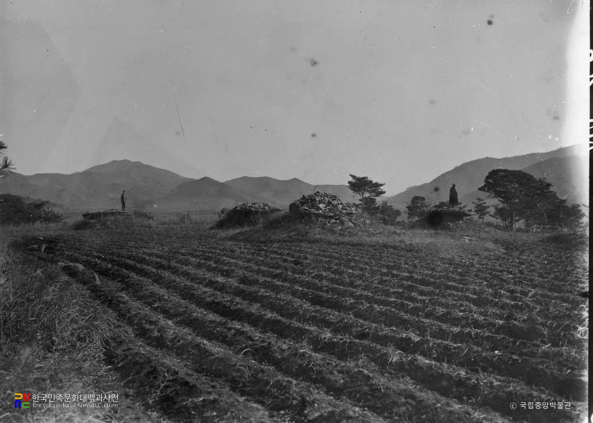 평남 순천 덕산리 지석묘군