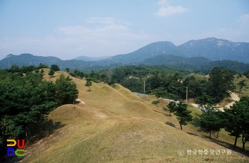 구미 낙산리 고분군