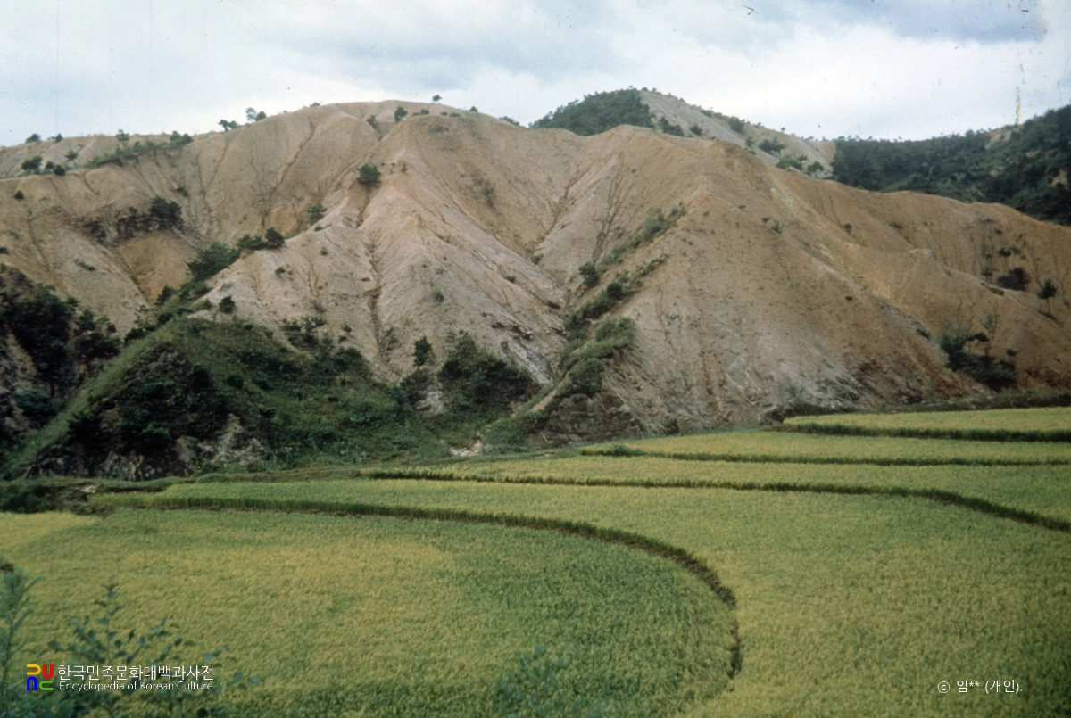 이천의 황폐한 산림