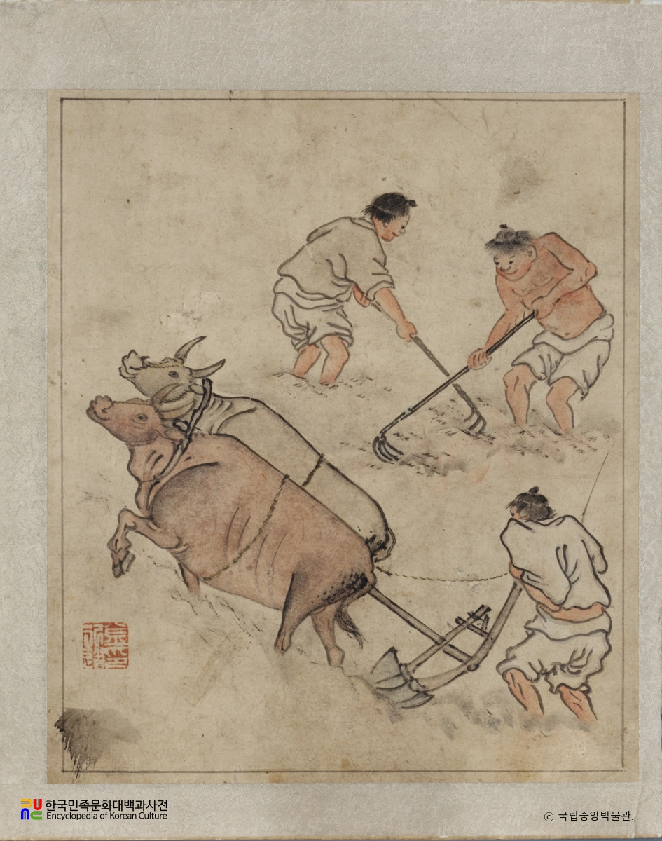 김홍도필 풍속도화첩 중 논갈이