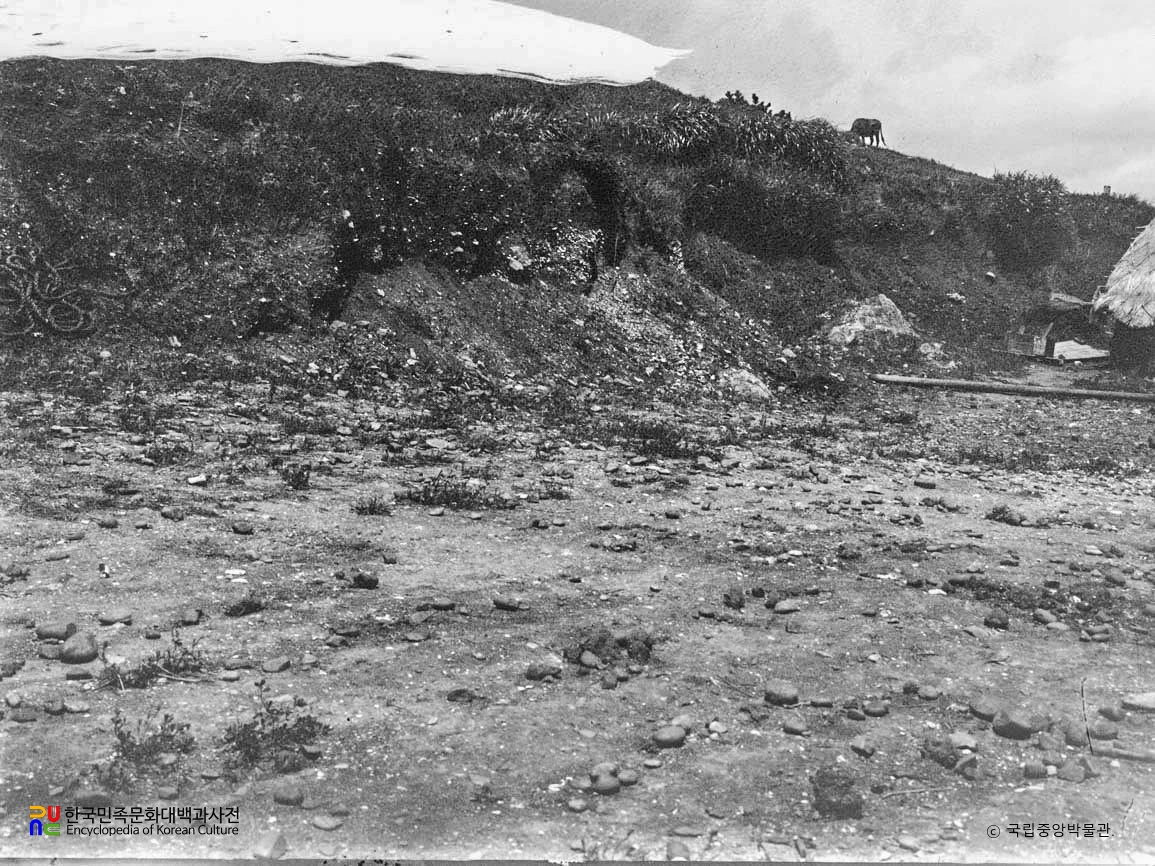 부산 동삼동 패총 전경