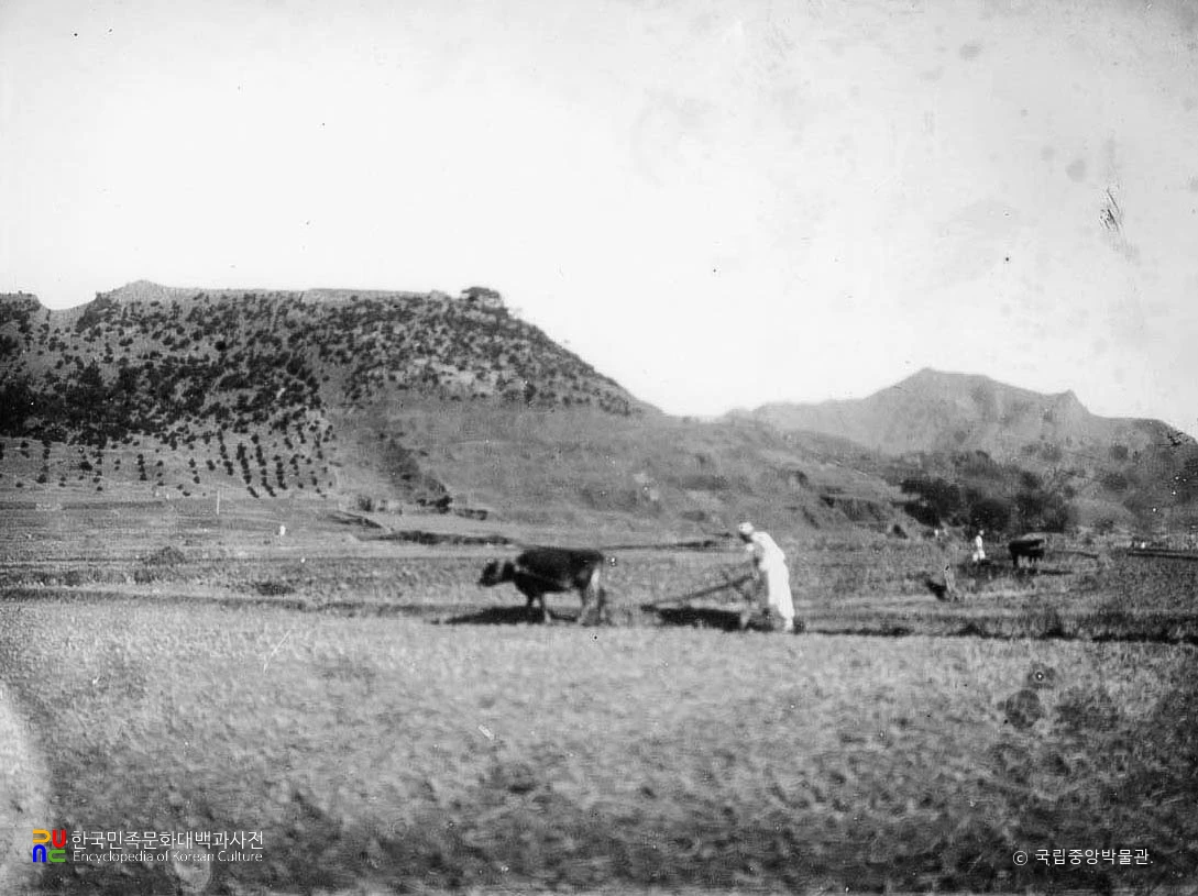 마산 왜성 원경