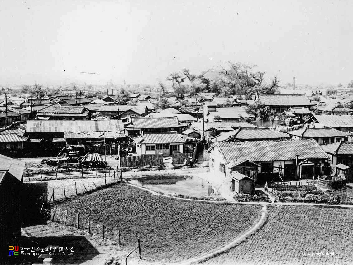 경주 대릉원 일원 중 봉황대 고분 북쪽 부근 전경