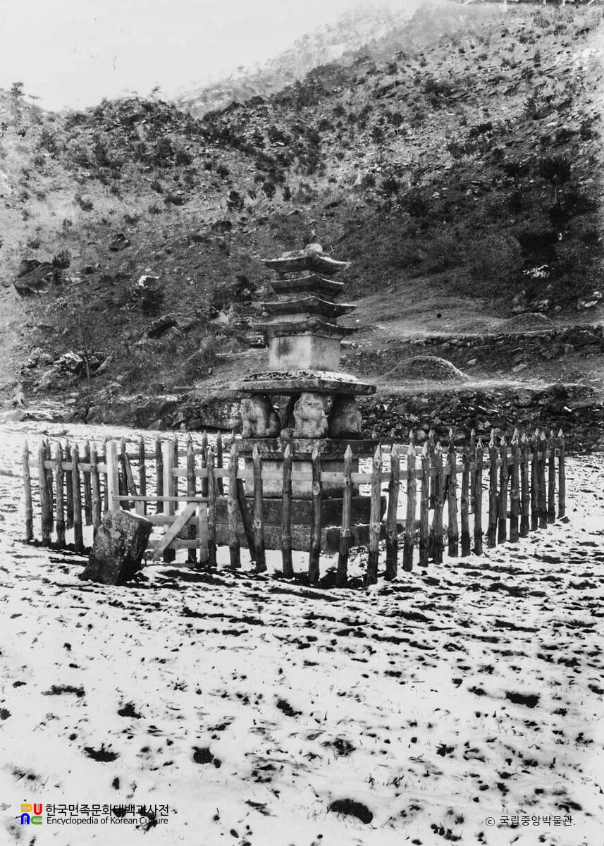 제천 사자빈신사지 사사자 구층석탑 전경