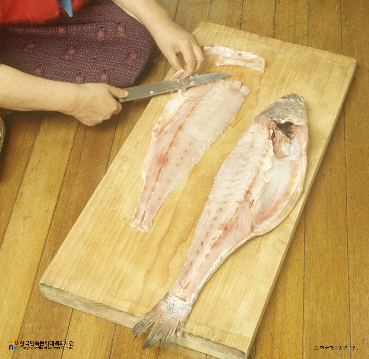 생선회 뜨는 장면