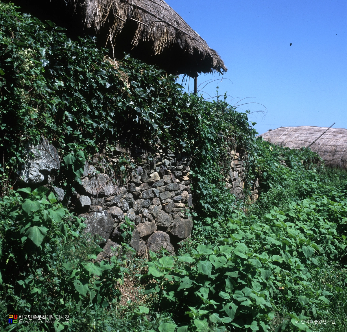 고흥 발포 만호성 성벽