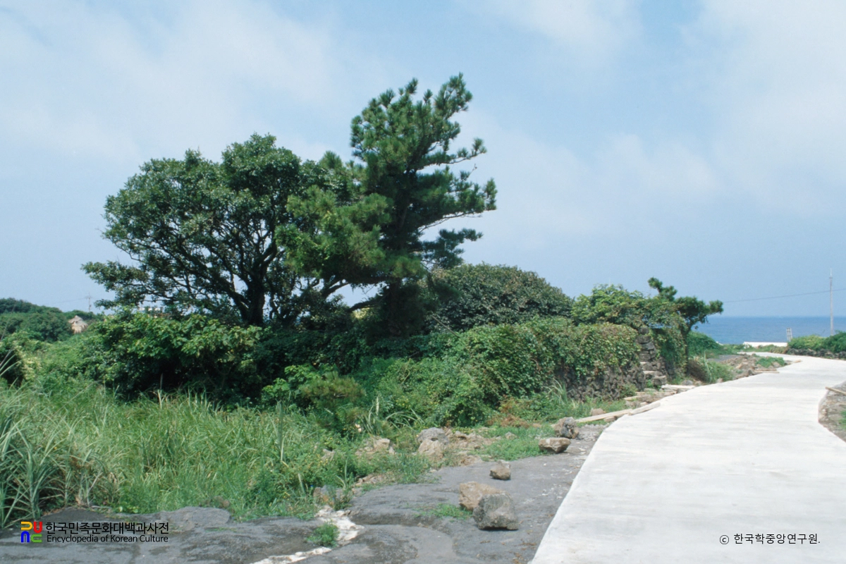 북제주 동복리 본향당