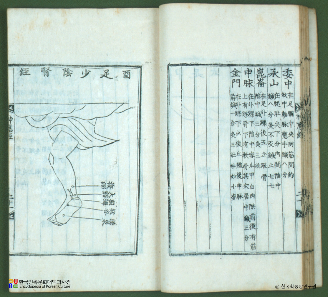 신응경