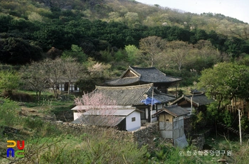 고흥 금탑사 전경