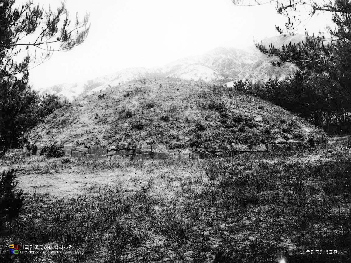 경주 신라 정강왕릉 측면