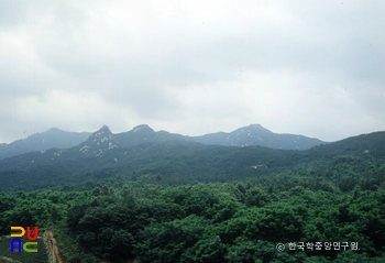 버팔로 슬롯 머신 규칙