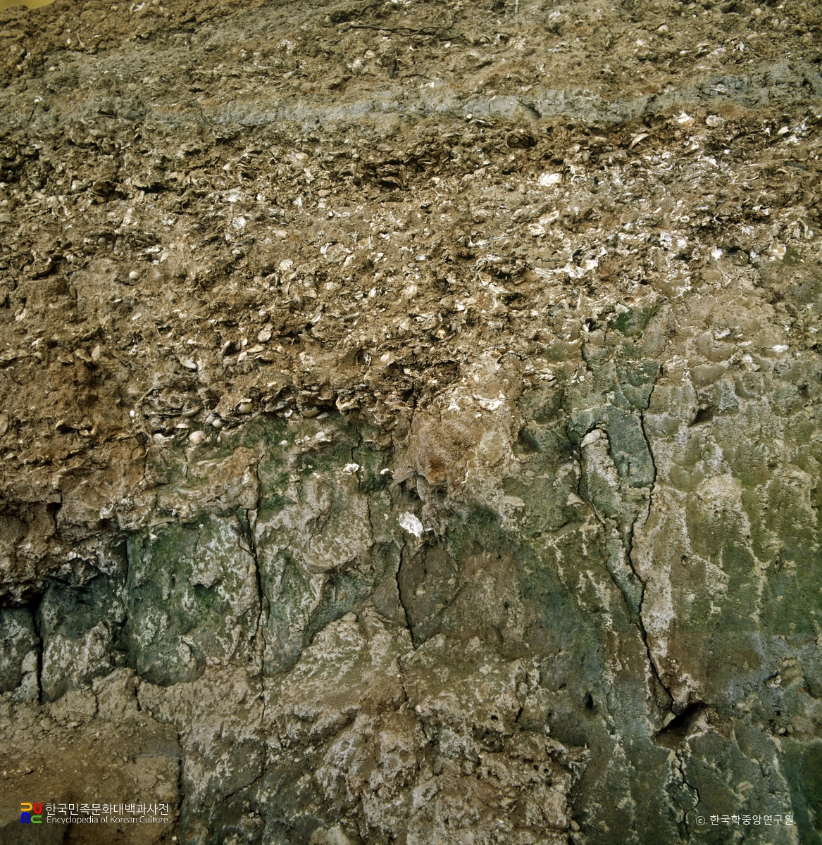 창원 성산 패총