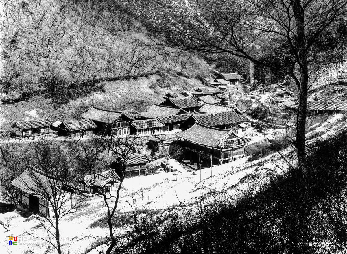 의성 고운사 전경