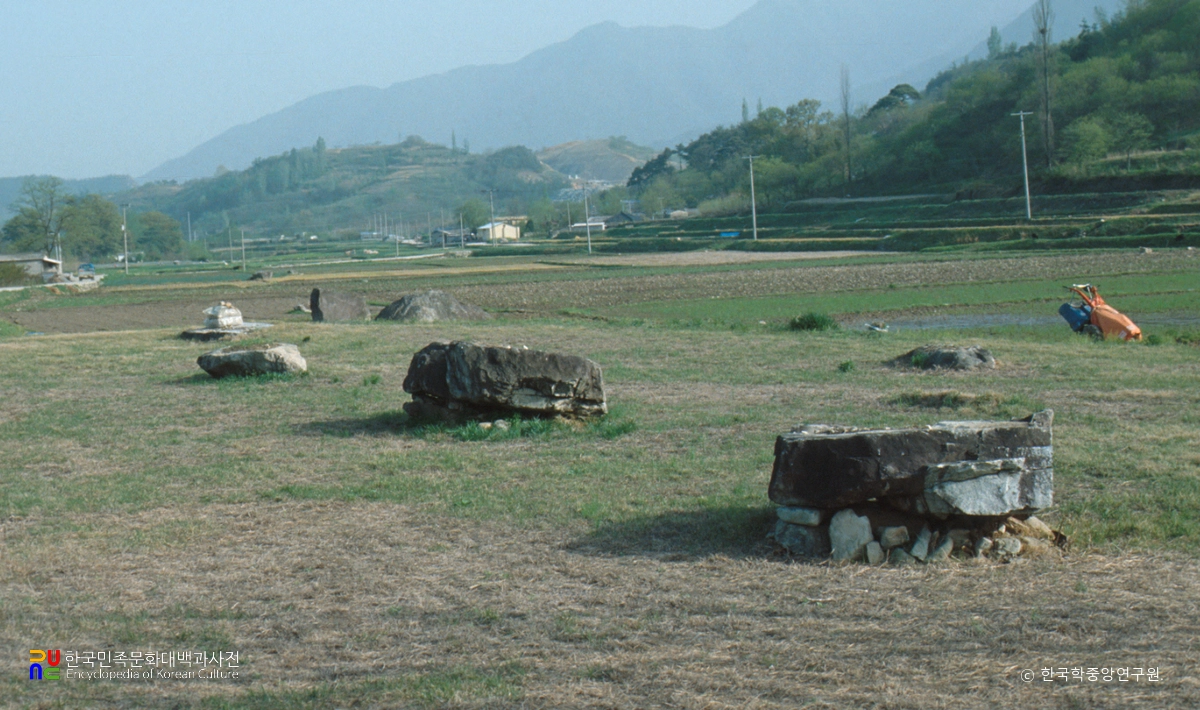 산청 특리 지석묘군