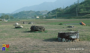 산청 특리 지석묘군