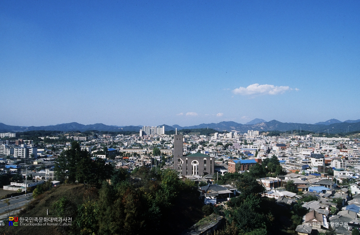금산읍 전경