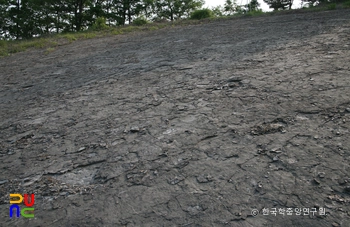 호계리 공룡발자국 화석