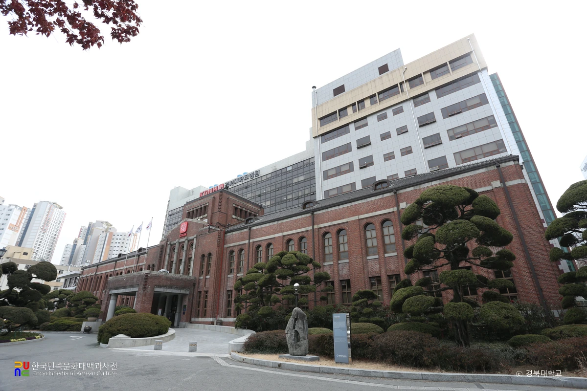 경북대학교 병원 전경