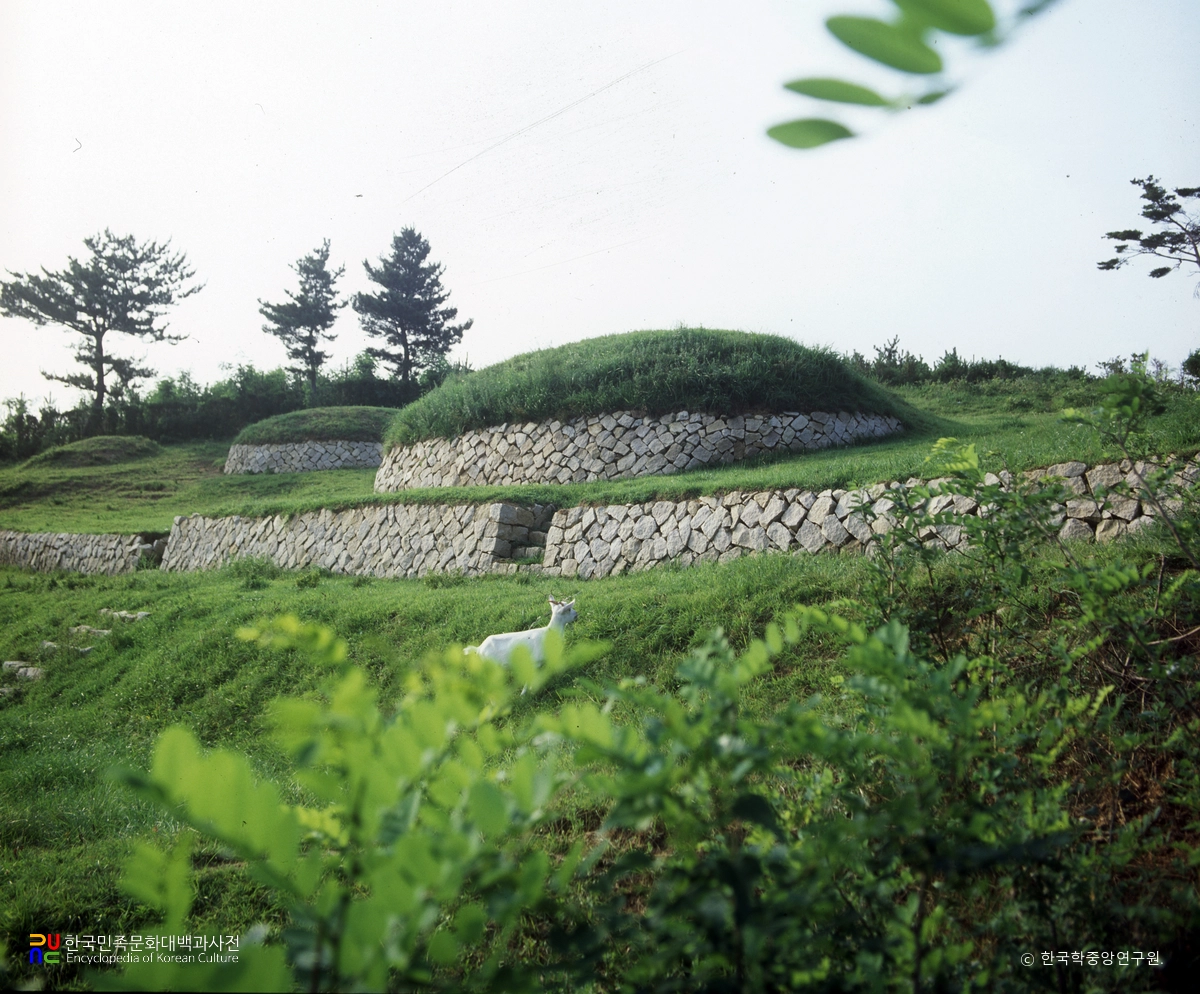 삼척 공양왕릉 정측면