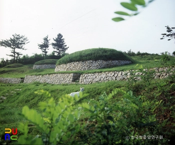 삼척 공양왕릉 정측면