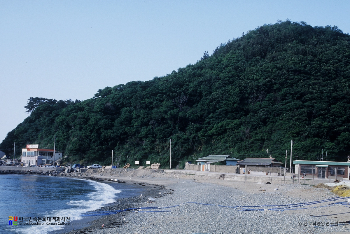 포항 발산리 모감주나무와 병아리꽃나무 군락