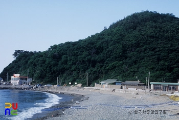 포항 발산리 모감주나무와 병아리꽃나무 군락