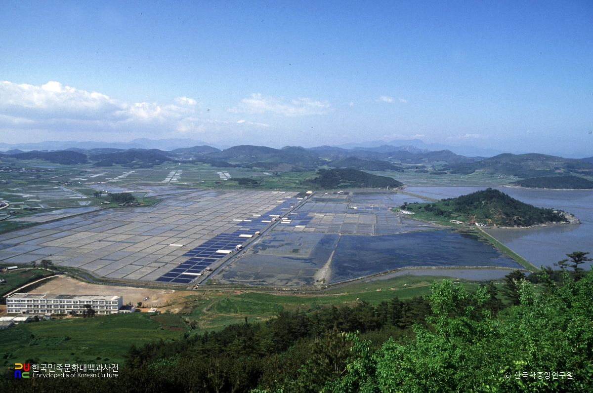 염전 / 노화읍