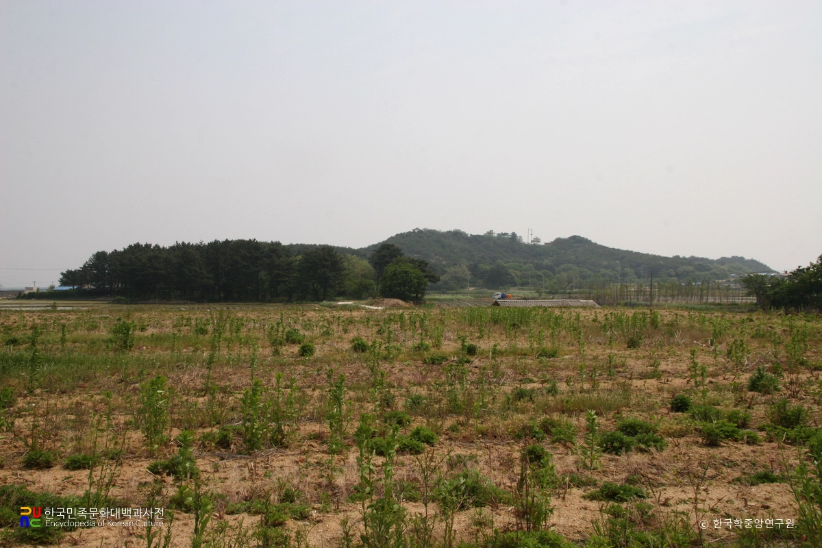 고성 문암리 유적