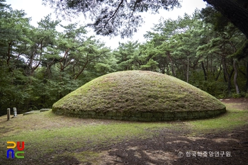 경주 신라 정강왕릉 좌측면