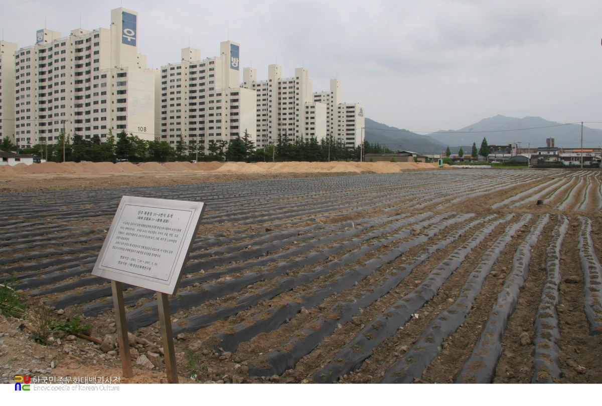 상주 복룡동 유적